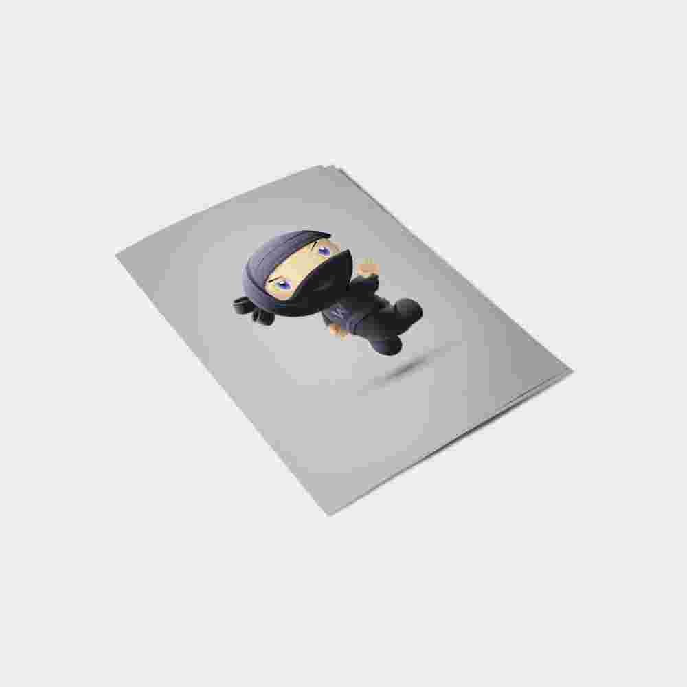 Flying Ninja - Image 3